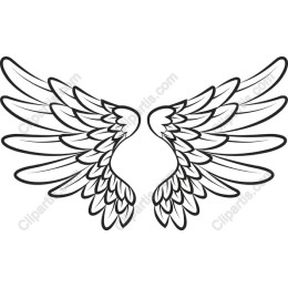 Intricate Wings