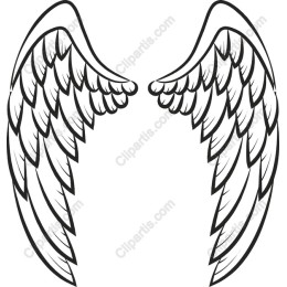 Elegant Angel Wings