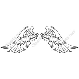 Elegant Angel Wings