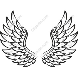 Elegant Wing