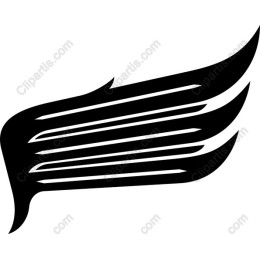 Dynamic Wing