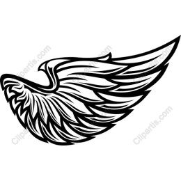 Majestic Eagle Wing