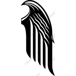 Elegant Wing