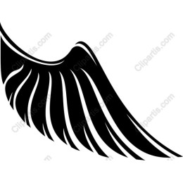 Elegant Black Wing