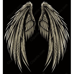 Majestic Angel Wings