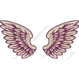 Elegant Angel Wings