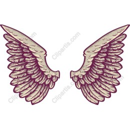 Intricate Wing