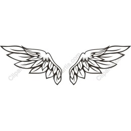 Elegant Wings