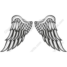 Intricate Angel Wings
