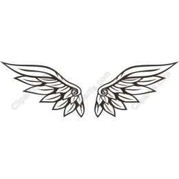 Elegant Angel Wings