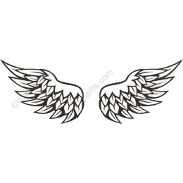 Elegant Wing