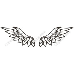 Intricate Angel Wings