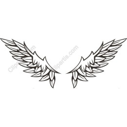 Angelic Wings