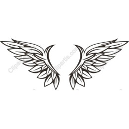 Intricate Angel Wings