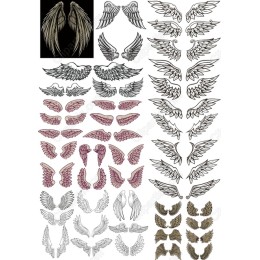 Angel Wings Collection