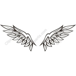 Elegant Angel Wings