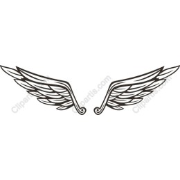 Elegant Wings