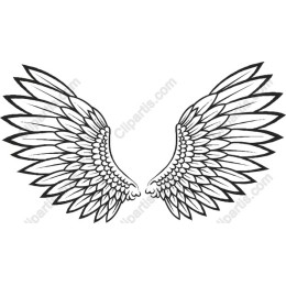 Elegant Angel Wings