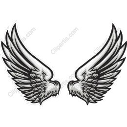 Angelic Wings