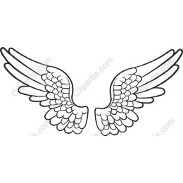 Elegant Angel Wings
