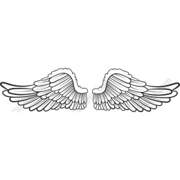 Ethereal Angel Wings
