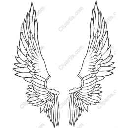 Elegant Wing