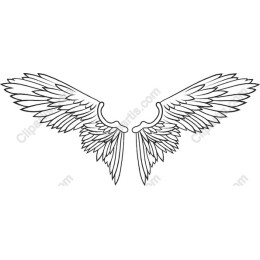 Elegant Angel Wings