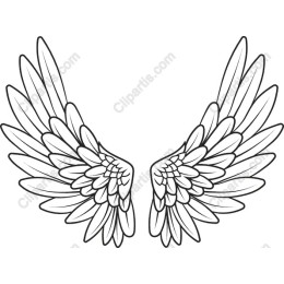 Elegant Angel Wings