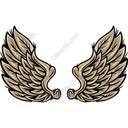 Elegant Winged