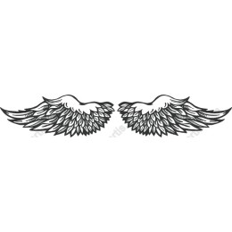 Feathered Wings