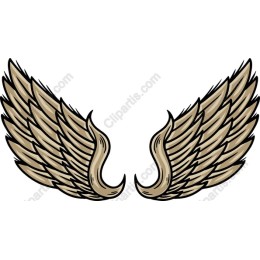 Elegant Wing