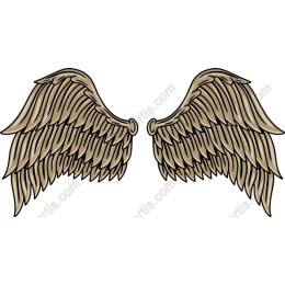 Elegant Wing