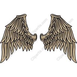 Angel Wings