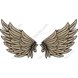 Majestic Angel Wings