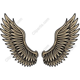 Angel Wings