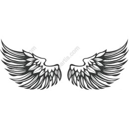 Elegant Wings