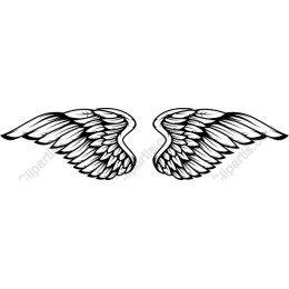 Elegant Wings