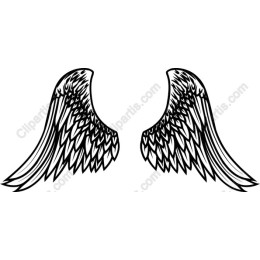 Elegant Angel Wings