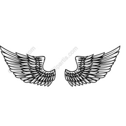 Intricate Angel Wings