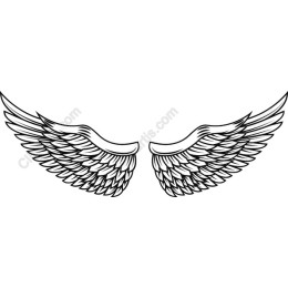 Angel Wings