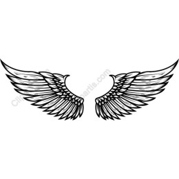 Angel Wings