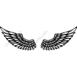 Elegant Stylized Wings