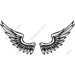 Intricate Wing