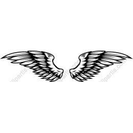 Angel Wings