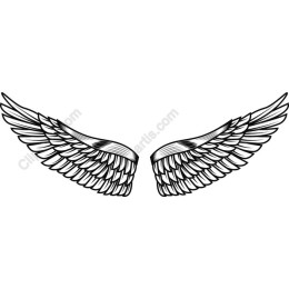 Angel Wings