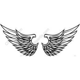 Elegant Wing