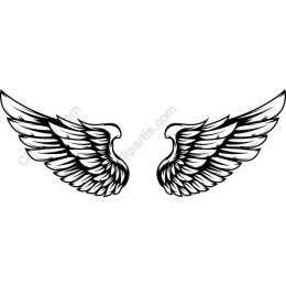 Majestic Wings