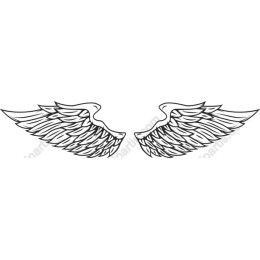 Elegant Angel Wings
