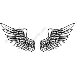 Angelic Wings