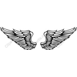 Elegant Angel Wings